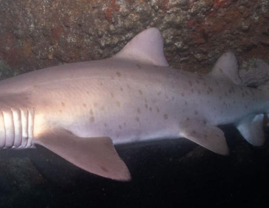 2ca42988-b073-449b-b7d4-67d61ec4f002