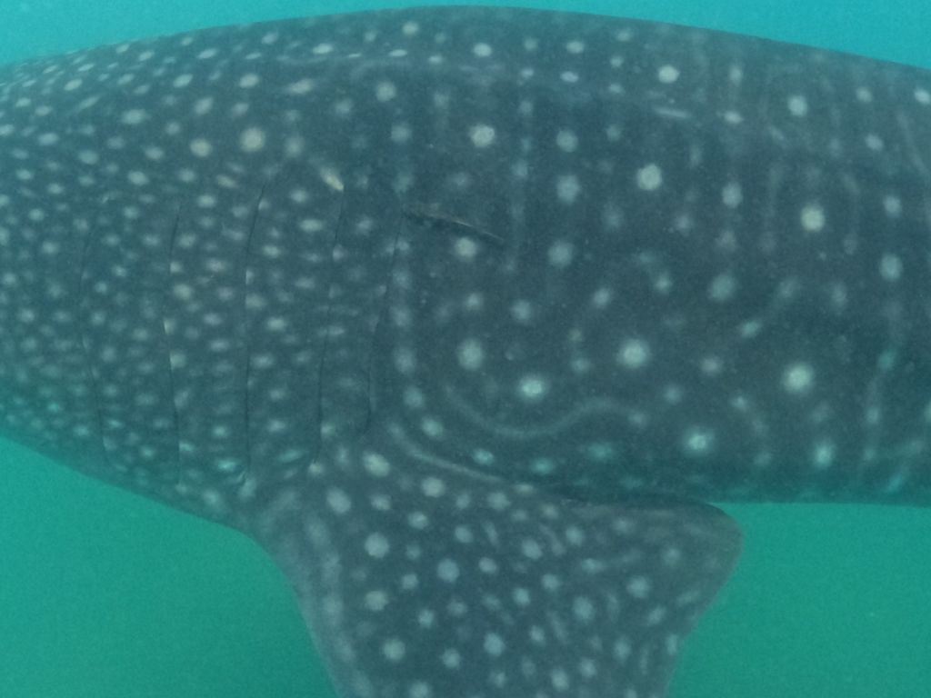 d135c266-acc1-45ed-8ec4-b205693f01ea