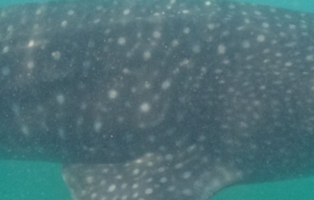 d135c266-acc1-45ed-8ec4-b205693f01ea