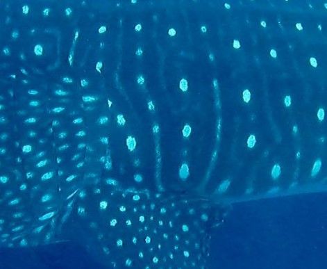 26c8193d-06d8-4c1d-9624-3ac4b1930b76