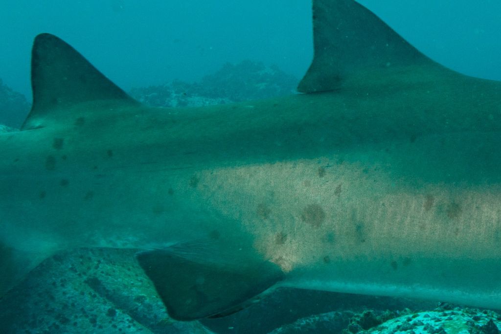 87c69c36-8435-44c0-ba05-a3ec5217bb8c