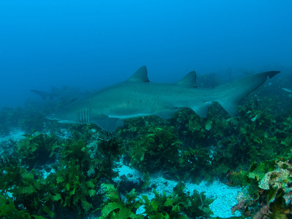 8a54b576-9547-4d5d-ba35-6d9643e0eeae