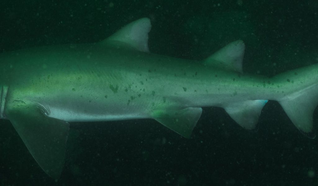 1a8a636c-eb7e-4684-bae2-bc4e93c7f9d9