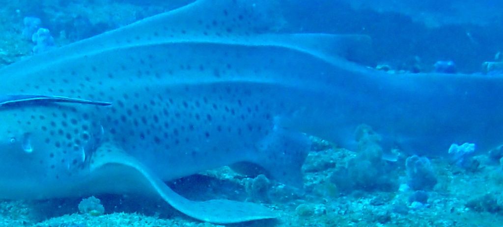 bbc35da4-6e83-4f44-8bcf-58101fae597b