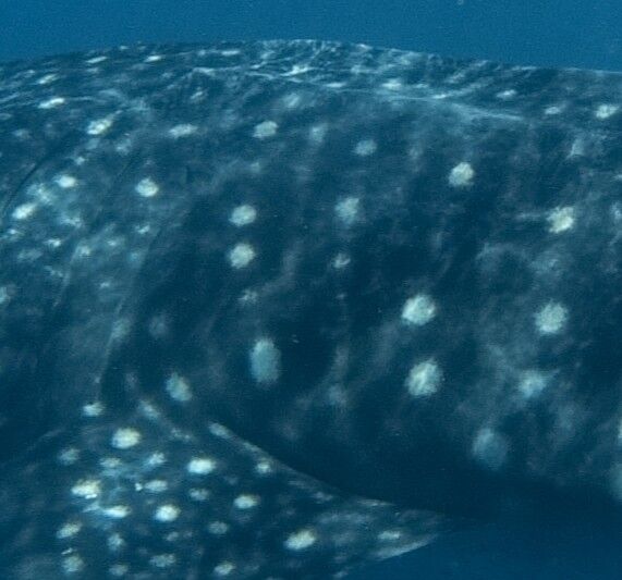 2f961931-6386-41e1-bfa0-936dbd4a30db