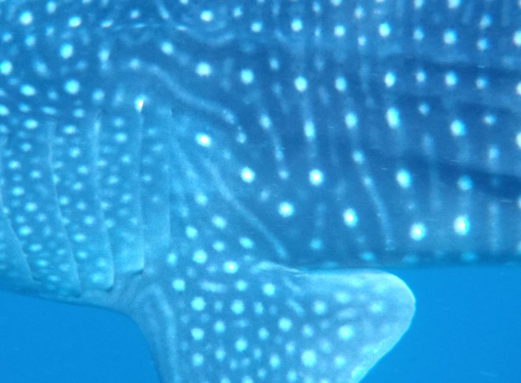 c9f6a3dc-07a3-4639-81c5-578647fcb0d8