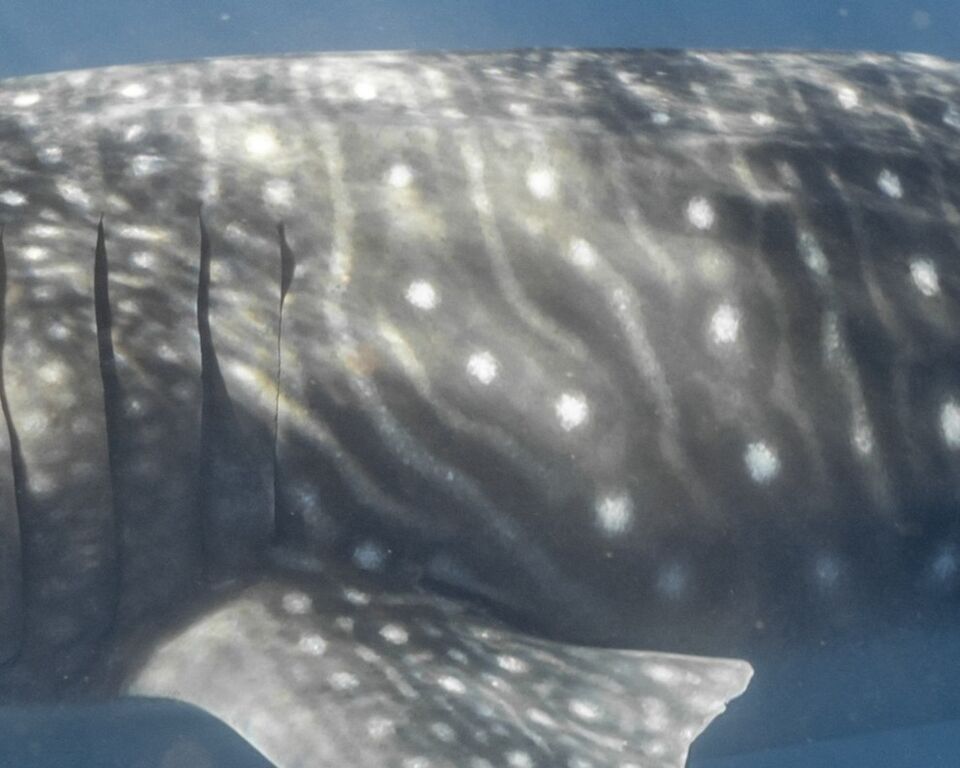 06fda762-e0ec-47d8-a5d2-8b01f167393a