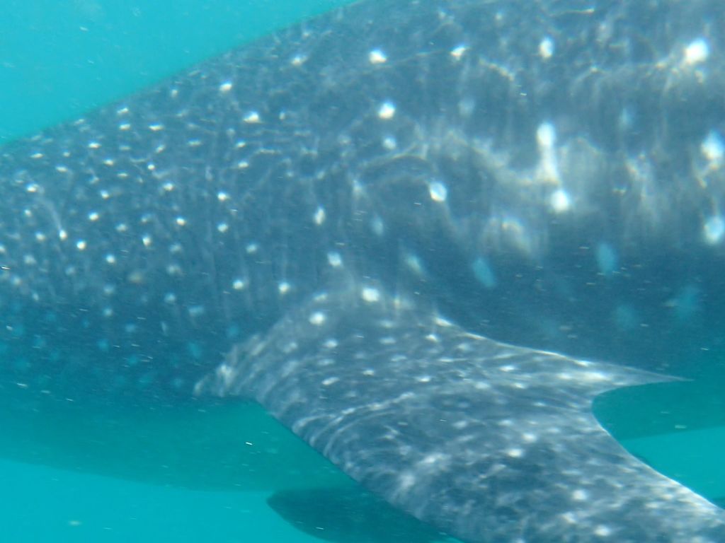 81f6754a-9006-48a4-a36f-97a99132311d