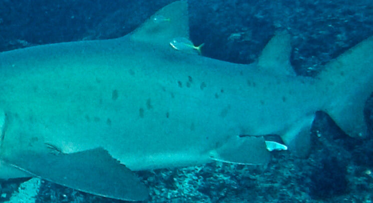 7f2c4166-d509-43ca-ae99-2026f4b1f794