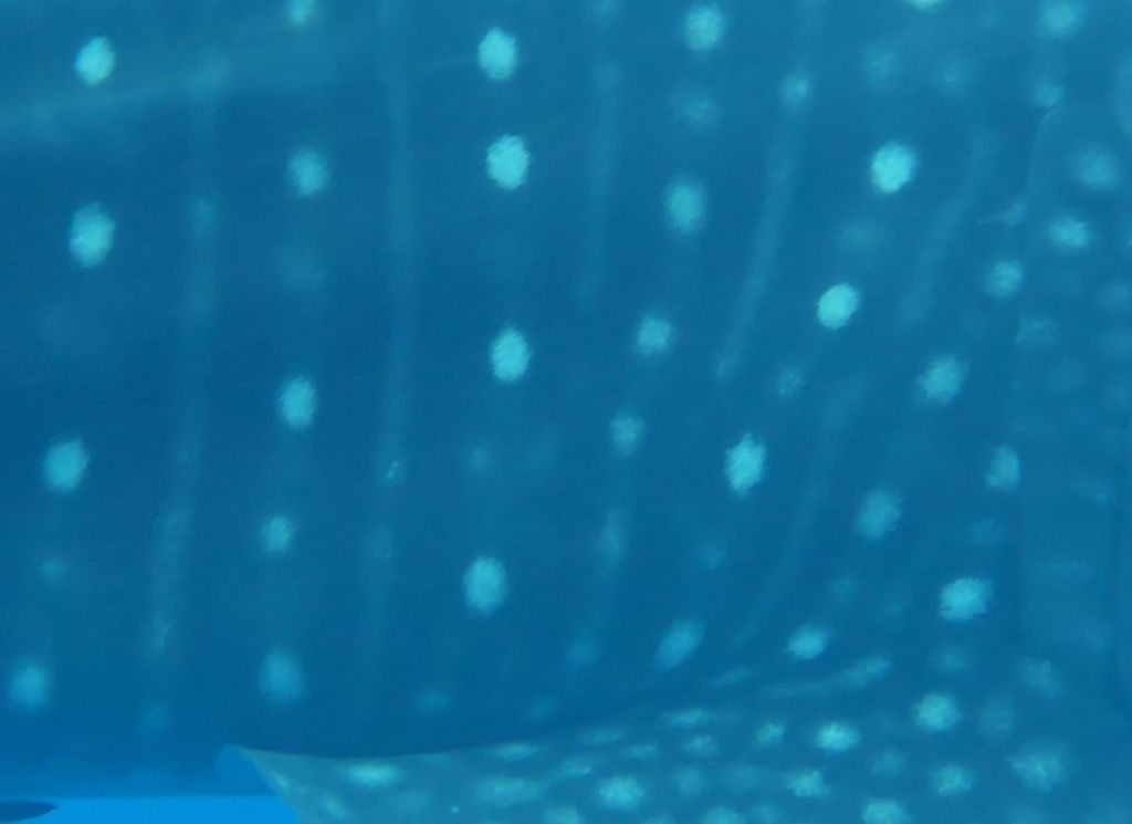 48f67117-48c5-4b79-bc03-cc5a92229a2c