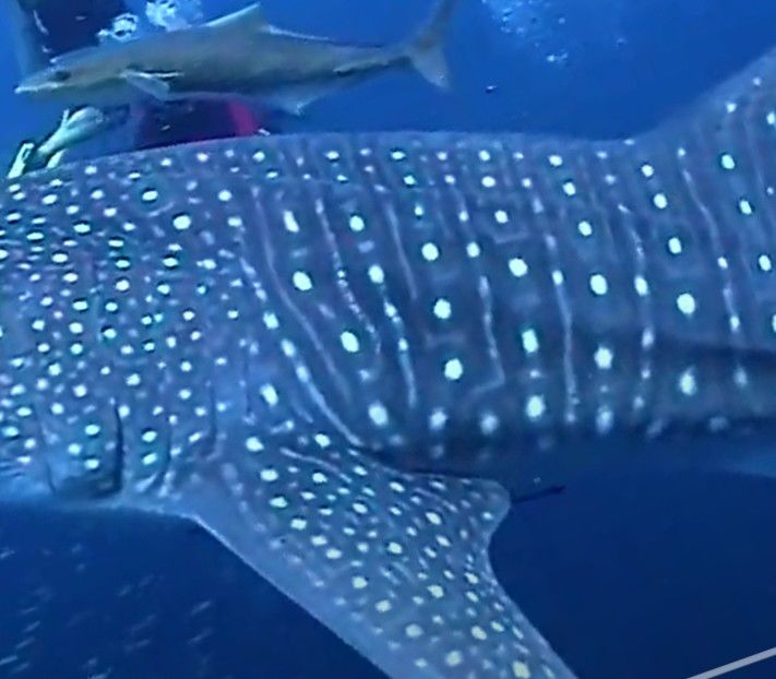 798409b4-8de8-4361-950c-8eb11b9fe495