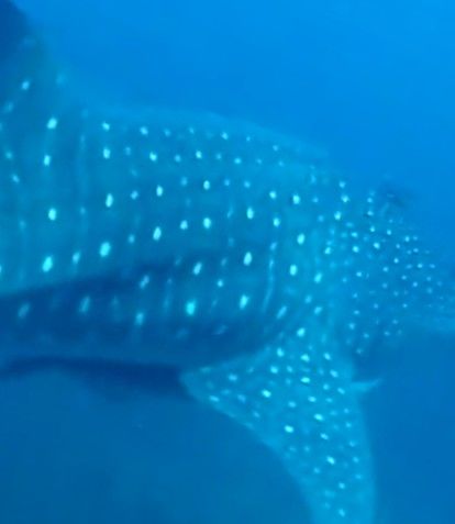 798409b4-8de8-4361-950c-8eb11b9fe495