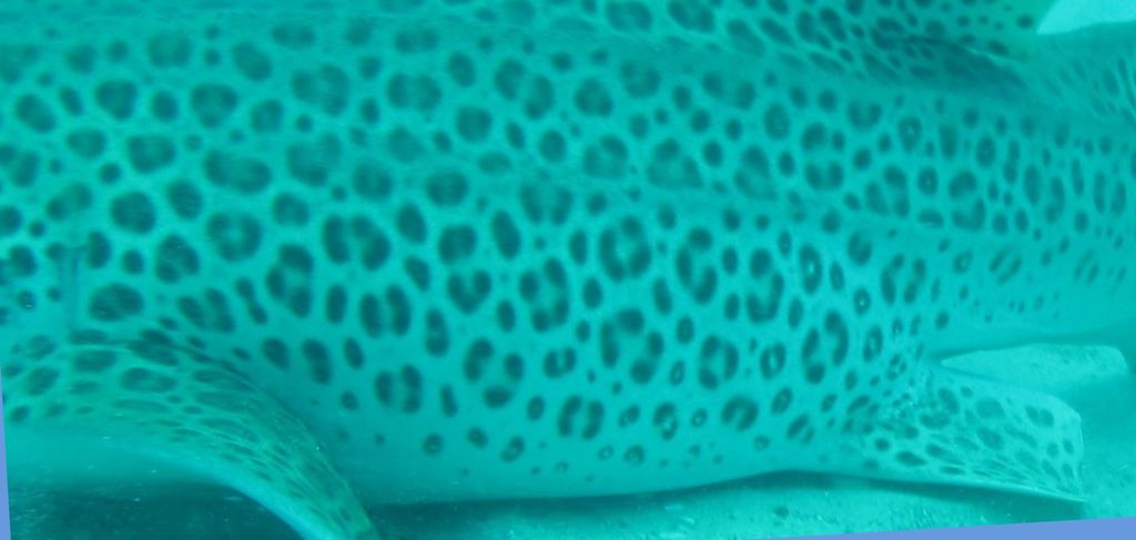 e7cfbc98-640e-4e1c-af16-a3ceaae1eb4c