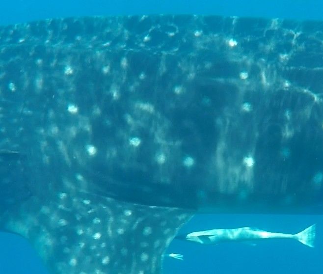 d3fd5ffd-82f3-401e-943f-7dfb1c308182