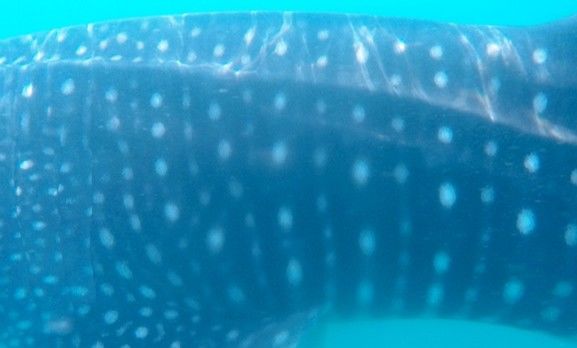 a035ea62-7f4c-4003-b9a0-0d45895dcaf9