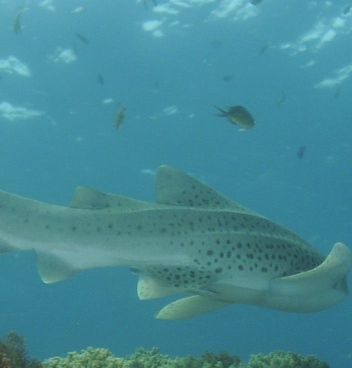 f4f2ef02-024a-4e0a-9009-8e6c3a63aa58