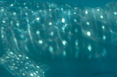 da225f15-0ff3-4080-993b-7ffc062487a5