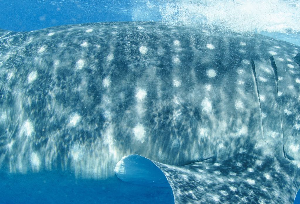 7126daaa-3716-4ad3-be78-4ea99dd0b75a