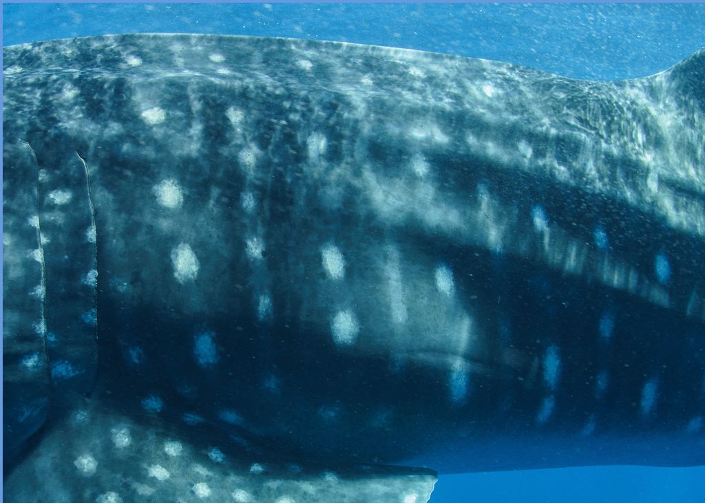 7126daaa-3716-4ad3-be78-4ea99dd0b75a