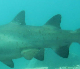 16eed216-1b5f-4178-8cb6-df71c47be314