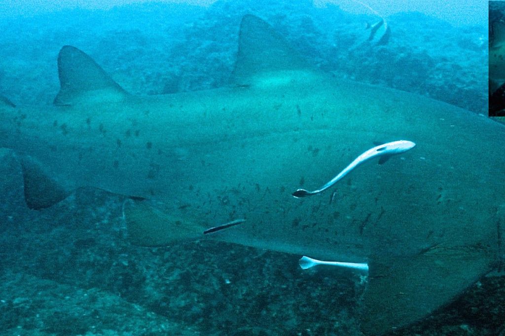 fa8c5a3f-408e-401d-bfdd-457662f64bdb