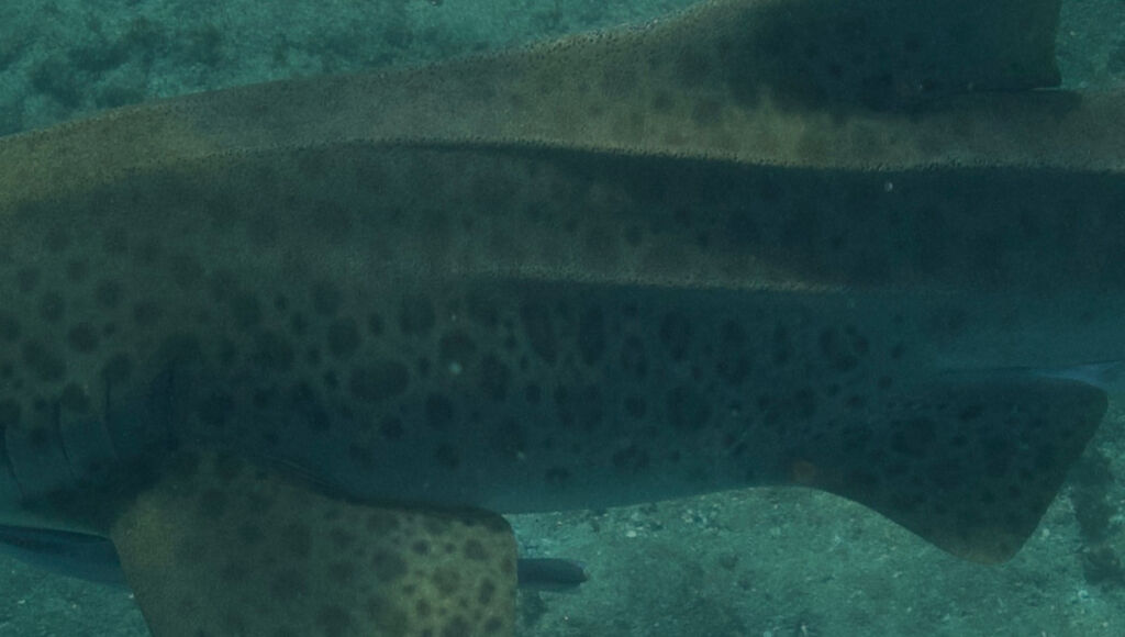 cb28911e-836e-462f-b93b-7e2be9a7cb1a