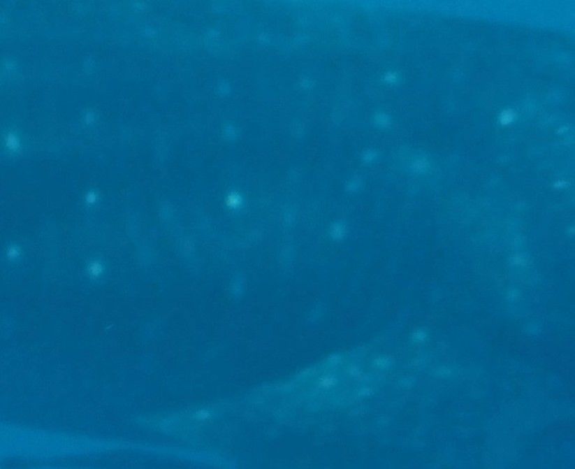 dbae5df9-206d-4193-bad7-810717b04749