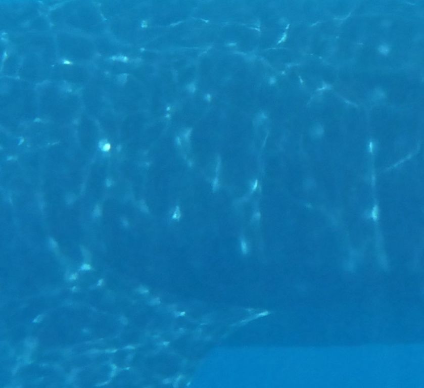 dbae5df9-206d-4193-bad7-810717b04749