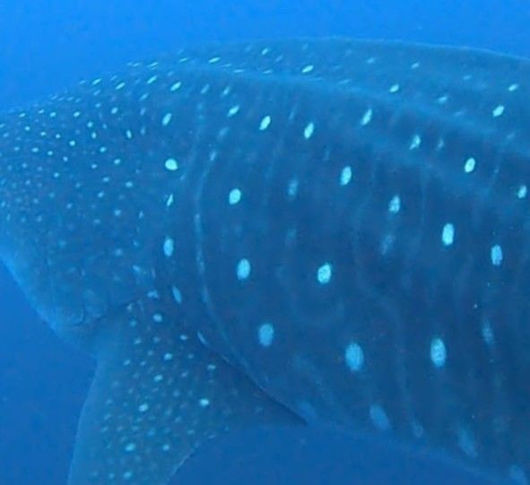 9f3377a2-761e-4bca-892d-8d95e23b0346