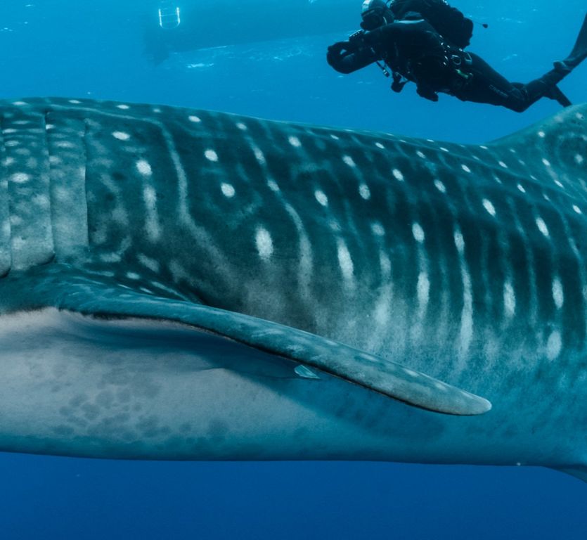 2433b14d-27ec-4840-be5b-3fab02f2b84d