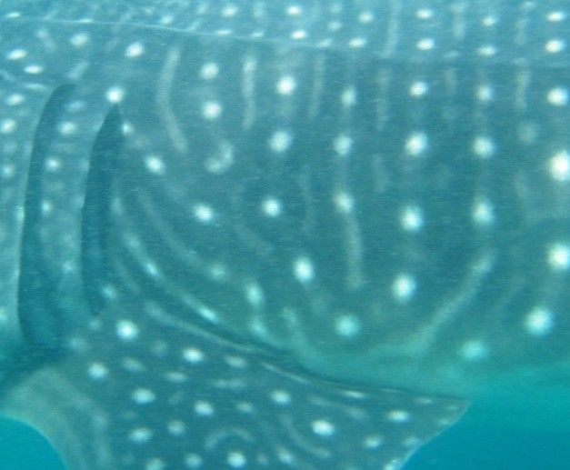 b28ee072-0be1-4874-9dbb-89fd0f28694d