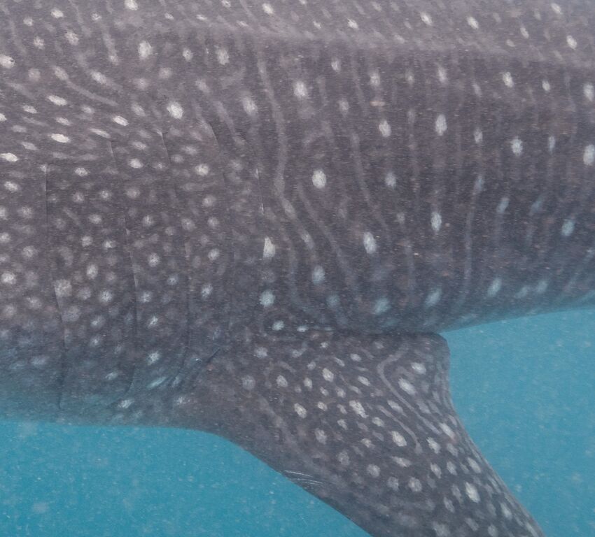 2ab54251-1687-4bcb-843f-460f81cfaeae