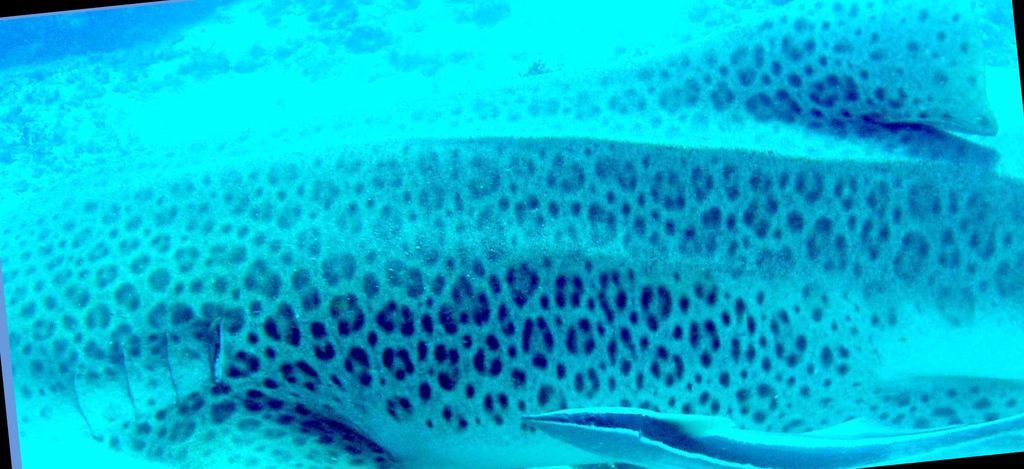 13f80fe7-9147-485e-9e0e-d68ed7ef7f1a