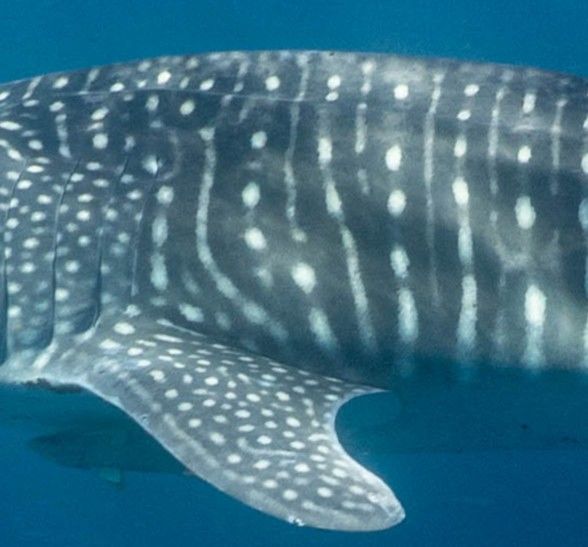 48e12763-c1fd-4bc1-98b1-470520a8c2a2