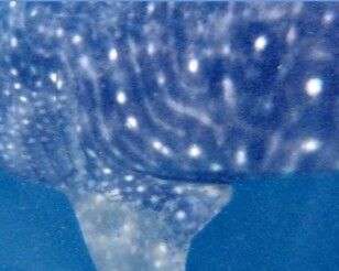 c33fa01b-91b0-4e86-8cc5-5914c5a0be55