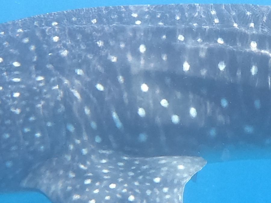 8ac5d67a-c487-4c25-b2da-659233f881a7