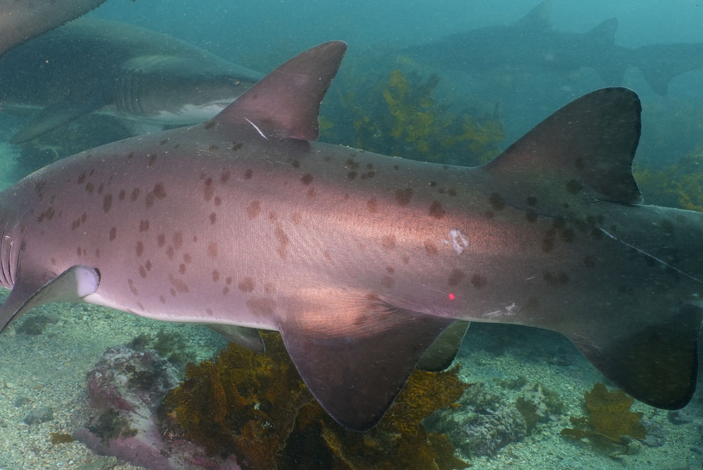 f8909bd7-f4dc-4c4a-8349-5309fbfbbe58