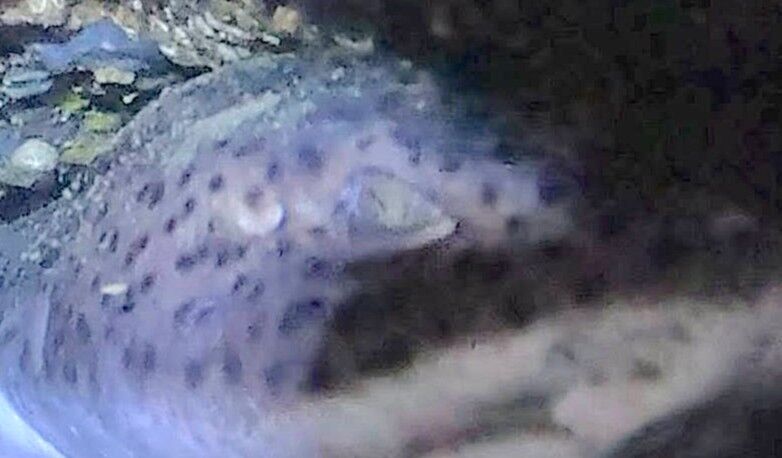 fa6e640d-a564-4ebd-aef7-bb0a35fbf799