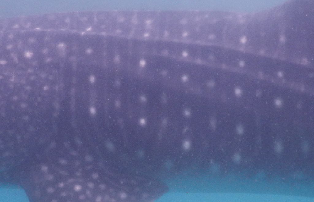 38be2b5f-c497-4a88-8185-f883d214727b