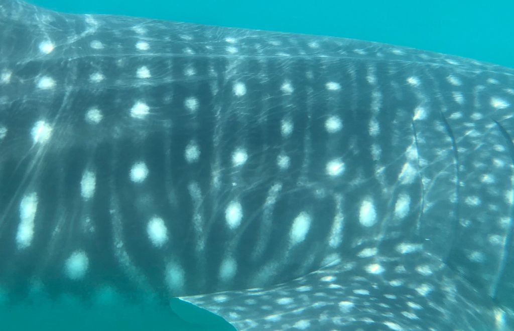 38be2b5f-c497-4a88-8185-f883d214727b