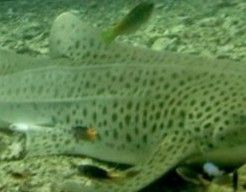 530b8736-ba01-409f-9818-23d3cb2287c1