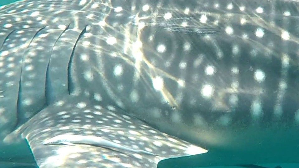 39c81fb4-6367-46b6-9adc-84b285afee97