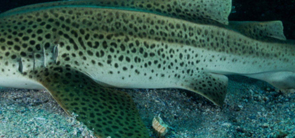 6a4cebb0-6324-47c3-b09a-82911c8f585c