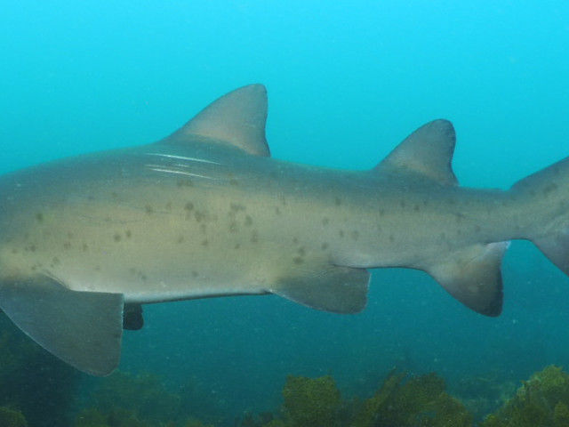 29149c54-b74d-4827-91e2-8a70d8e1d810