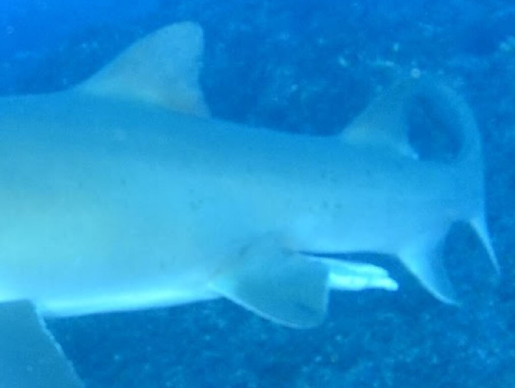 f12f4b8c-5e58-4b81-9985-5aca1a07c02e