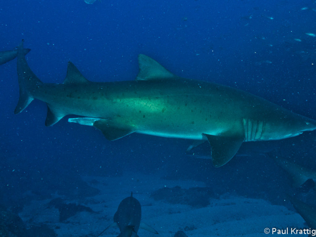 8a4694fa-8604-422f-9d4c-6b849c3d0fc7