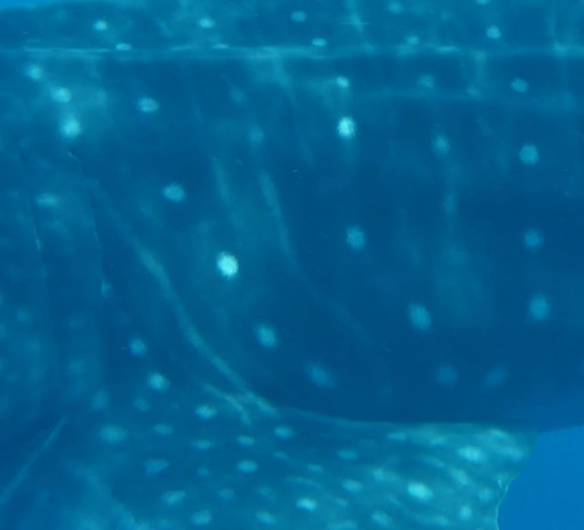 c85163d3-cfbb-4867-aae5-62be7f6d9341