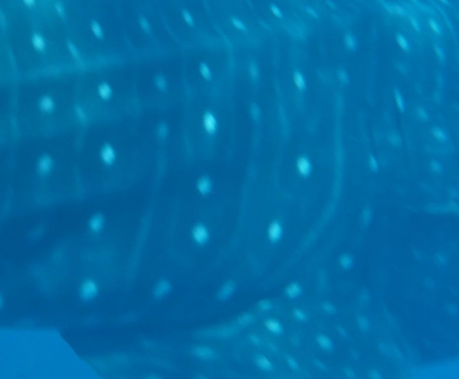 c85163d3-cfbb-4867-aae5-62be7f6d9341