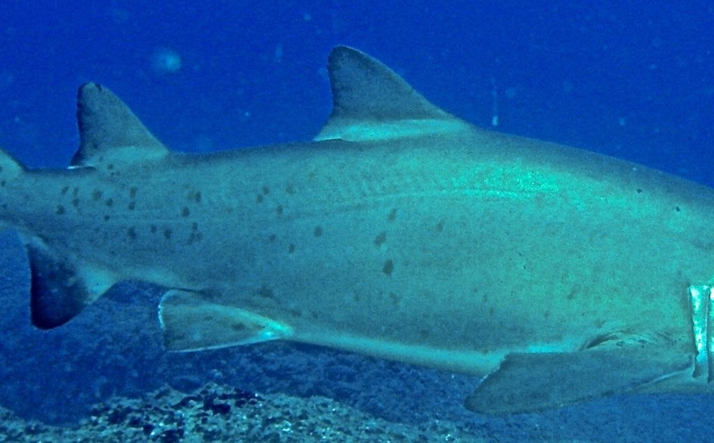 1f5f01da-aeb2-44ac-8b78-36a068faa933