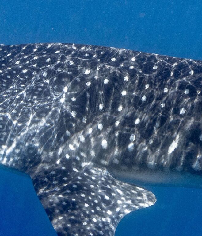 53fa1372-33a9-410f-9337-a7ef4983fea6